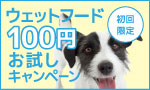 �h���C�t�[�h100�~������
