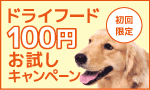 �h���C�t�[�h100�~������
