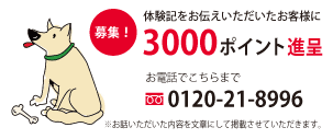 ナチュラルドッグフードの体験記募集