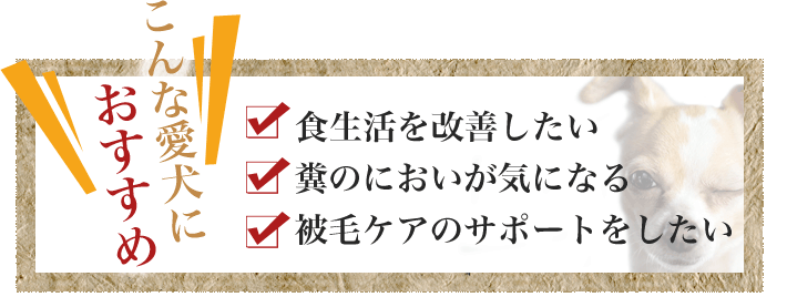 愛犬活力源はこんな愛犬におすすめ