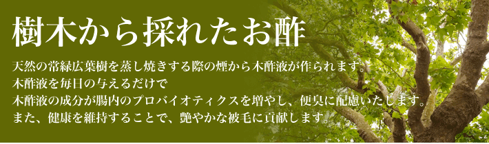 愛犬活力源は樹木から採れたお酢