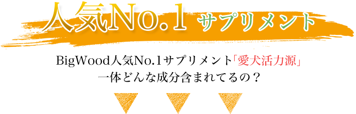 愛犬活力源は人気No.1商品