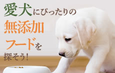 愛犬にピッタリの無添加フードを探そう