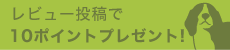 レビュー投稿で10ポイント