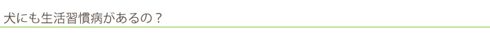 犬の生活習慣病