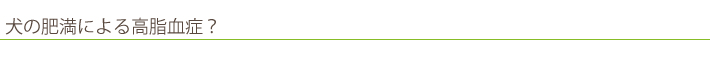 高脂血しょう