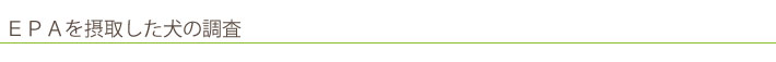 犬の調査