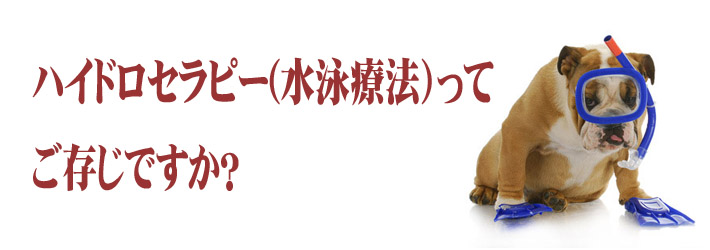 ハイドロ看板