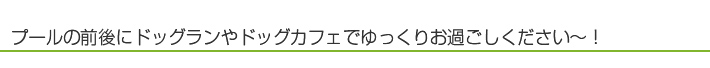 ドッグカフェとドックラン