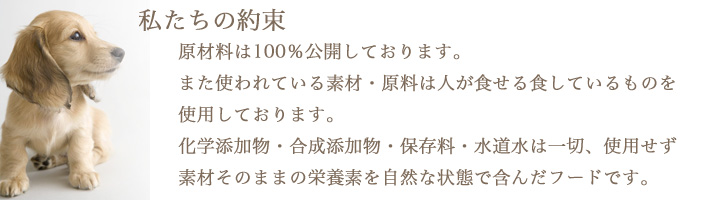 yakusoki-img