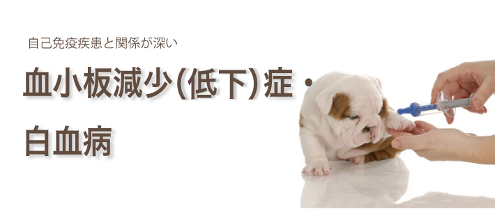 血小板看板