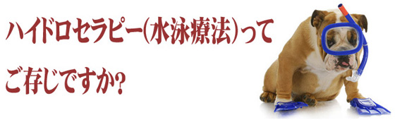 ハイドロセラピーってご存じですか？