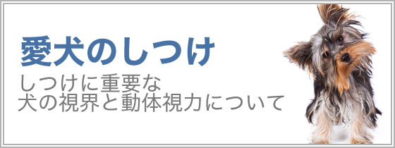 愛犬のしつけ