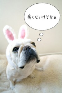 痛くない