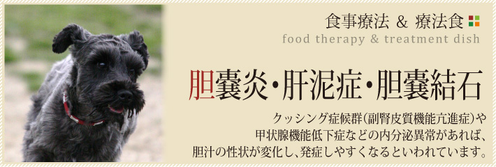 胆嚢看板