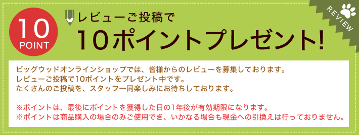 レビュー投稿で10Pプレゼント