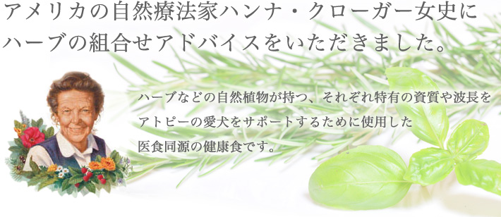 乾燥ハーブ 自然療法 アトピー性皮膚炎