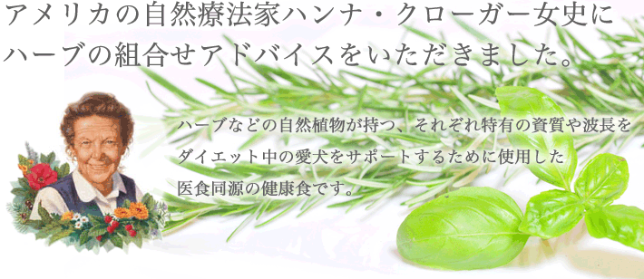 ビッグウッド ブリリアントメロウ プレミアムダイエットウェットフード 