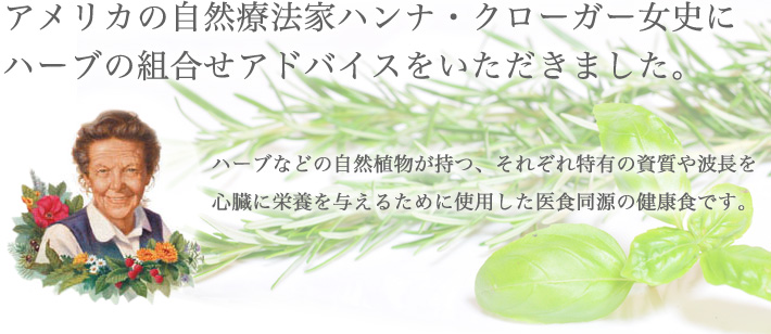 ビッグウッド ハーブ療法食 ハーティー ドライフード 天然カツオ800g 国産無添加ドッグフードはbigwoodオンラインショップ ビッグウッド ハーブ療法食 ハーティー ドライフード 天然カツオ800g 国産無添加ドッグフードはbigwoodオンラインショップ