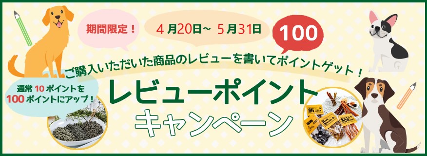 20230420レビューキャンペーン