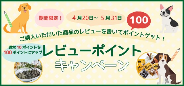 20230420レビューキャンペーン