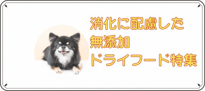 ���Y�O���C���t���[�h���C�t�[�h���W �b��t�ďC ���Y���Y��