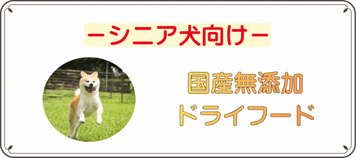 �V�j�A������ ���Y���Y���h���C�t�[�h���W�b�N��ɍ��킹���₳�����H���I��