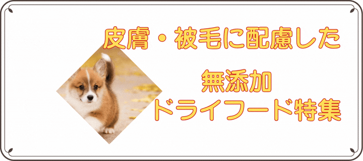 ���Y�O���C���t���[�h���C�t�[�h���W �b��t�ďC ���Y���Y��