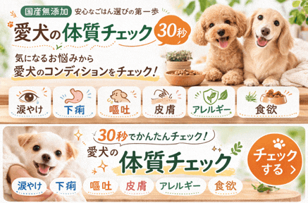 �����̑̎��`�F�b�N�i30�b�j