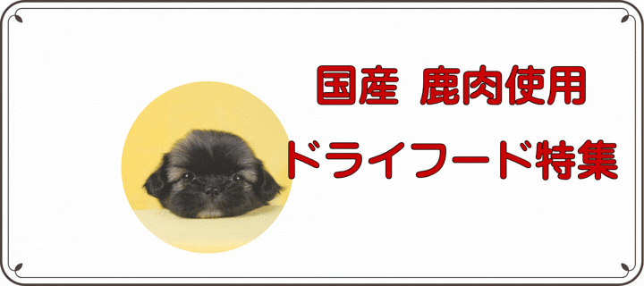 �����i�x�j�\���j�g�p ���Y�h�b�O�t�[�h���W �b��t�ďC ���Y���Y��