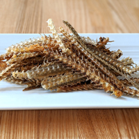 y11̔zgCAizȂW[L[ 20g