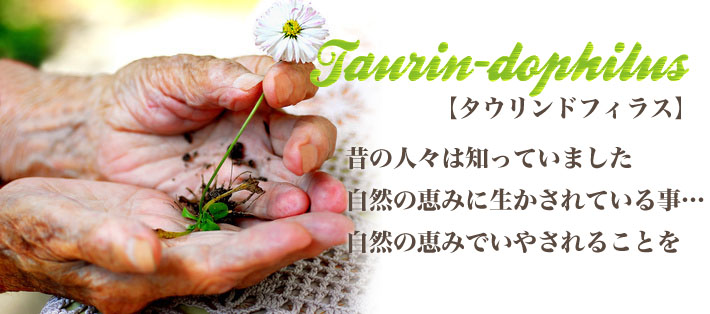 ビッグウッド ドッグサプリメント タウリン 国産無添加ドッグフードはbigwoodオンラインショップ