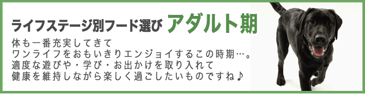 ライフステージ別フード選び　アダルト期