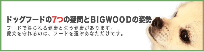 ビッグウッド　フードの7つの疑問