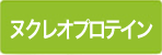 ヌクレオプロテイン