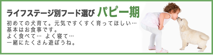 ライフステージ別フード選び・パピー期