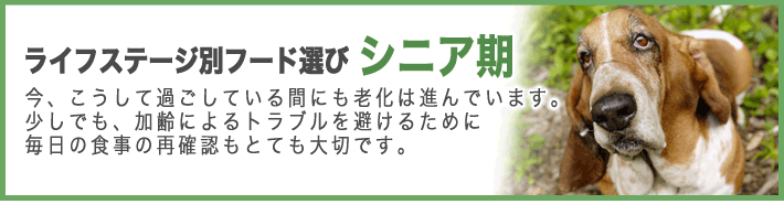 ライフステージ別フード選び・シニア期