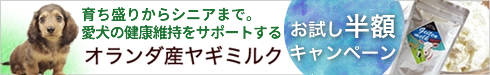 お得なトライアル商品