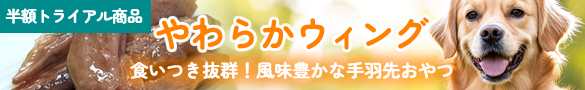 お得なトライアル商品