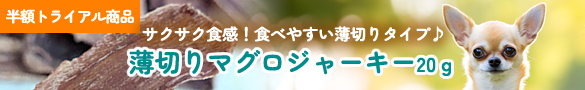お得なトライアル商品