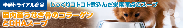お得なトライアル商品