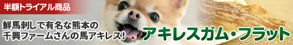 お得なトライアル商品