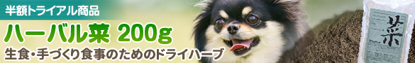 お得なトライアル商品
