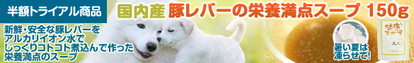 お得なトライアル商品