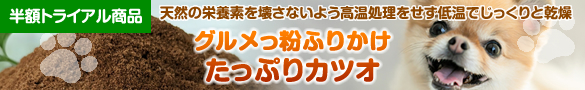 お得なトライアル商品
