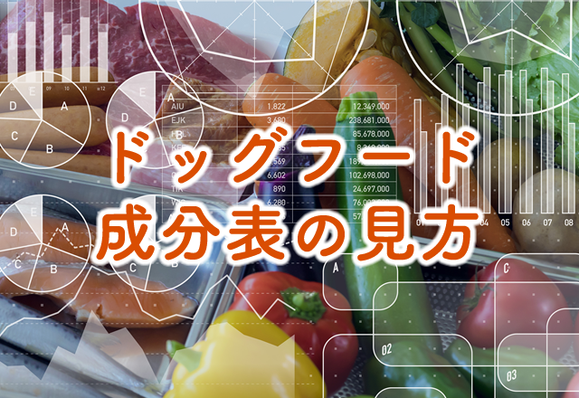 ドッグフード成分表の見方
