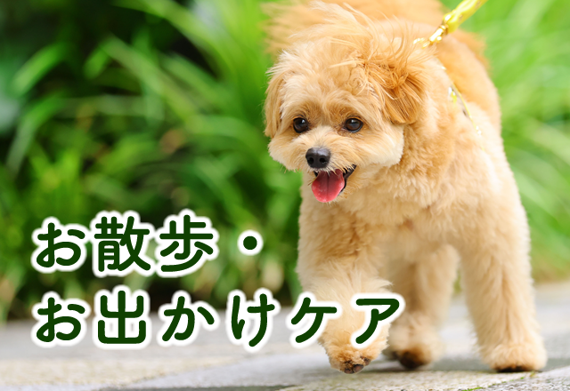 お散歩・お出かけケア