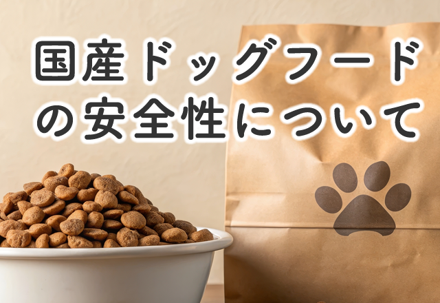 国産ドッグフードの安全性について