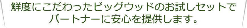 鮮度にこだわったビッグウッドのお試しセットでパートナーに安心を提供します。