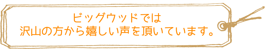 ビッグウッドでは沢山の方から嬉しい声を頂いています。